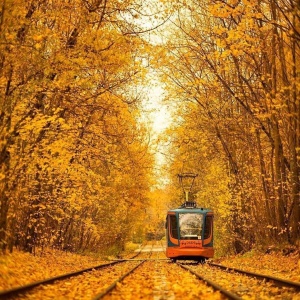 Фото от владельца Сокольники, парк культуры и отдыха