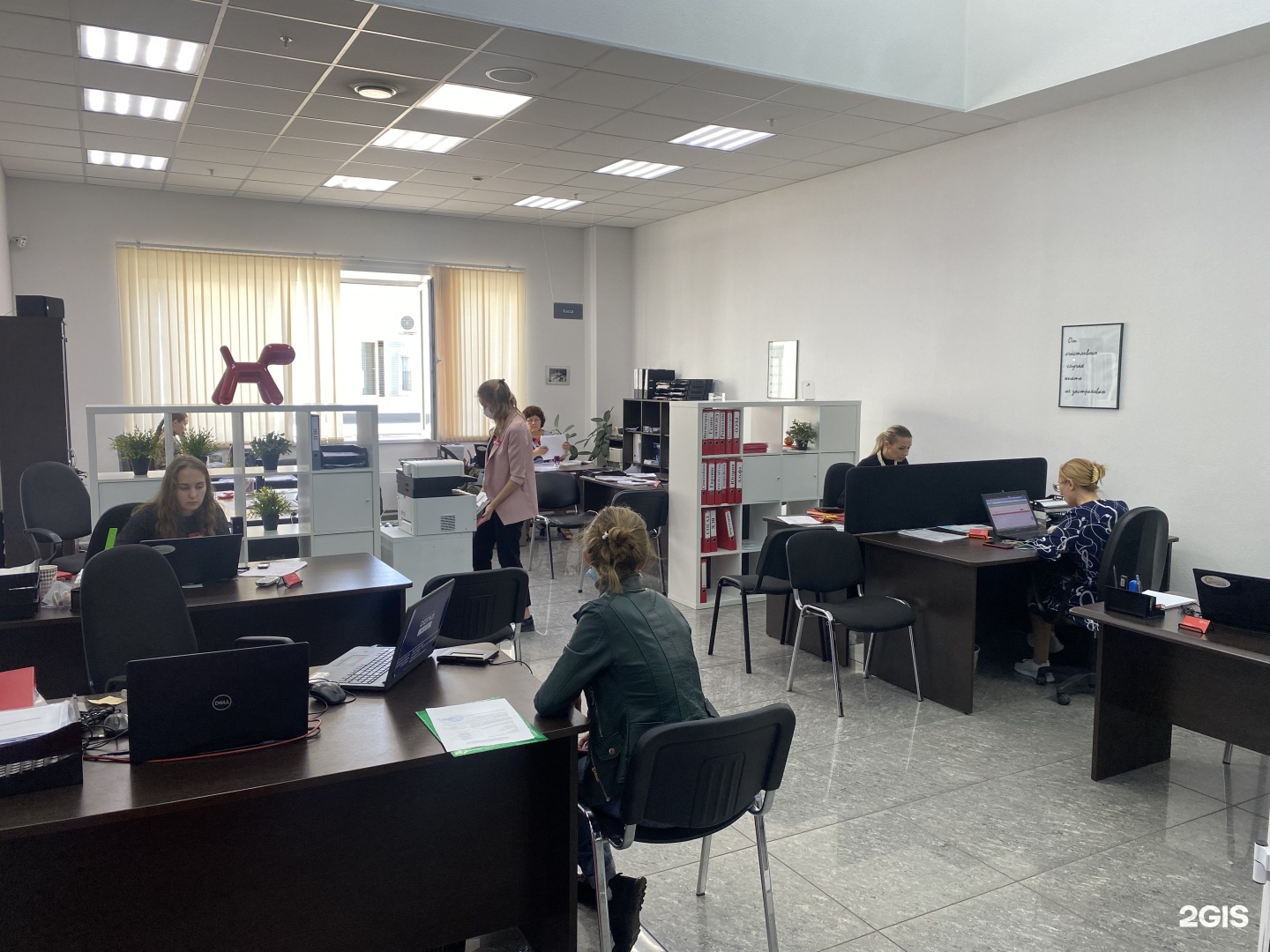 Привилегия страхование. Привилегия страхование