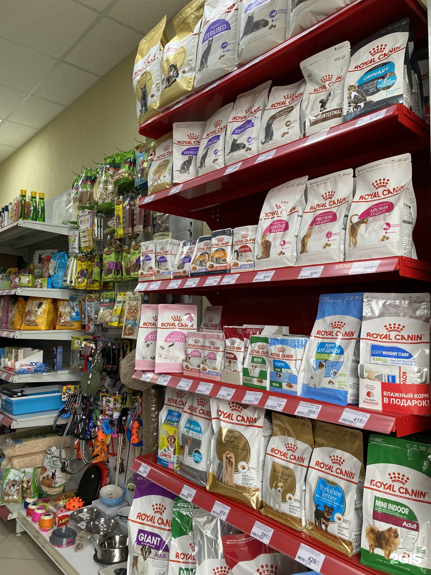 магазин 4 лапы балашиха. зоомагазин балашиха.