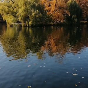 Фото от владельца Городской парк