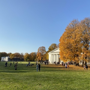 Фото от владельца Центральный парк культуры и отдыха им. С.М. Кирова