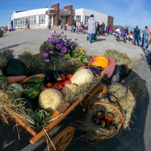 Фото от владельца Дальненский дом культуры, МБУ