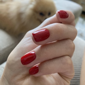 Фото от владельца Lucky Nails, студия