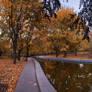 Фото от владельца Победа, дендропарк