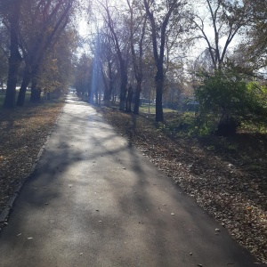 Фото от владельца Дружба, парк