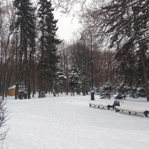 Фото от владельца Московский парк Победы