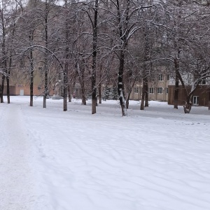 Фото от владельца Южно-Уральский государственный медицинский университет