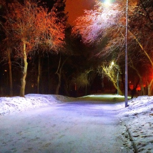 Фото от владельца Екатеринбургский Центральный Парк Культуры и Отдыха им. В.В. Маяковского