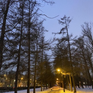 Фото от владельца Московский парк Победы