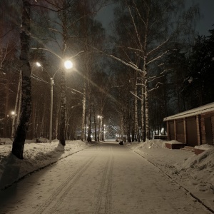 Фото от владельца Екатеринбургский Центральный Парк Культуры и Отдыха им. В.В. Маяковского