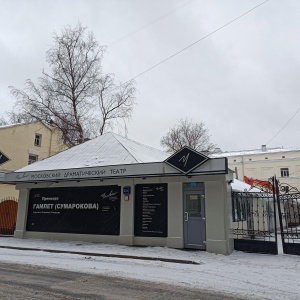 Фото от владельца Человек, Московский театр