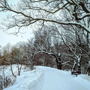 Фото от владельца Дубки, парк культуры и отдыха