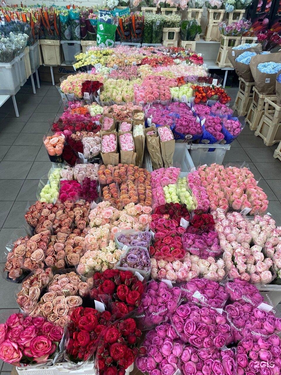 Где купить цветы в саратове. Флавомаркет Рижская. Цветочная база. Цветочная база в Москве. Оптовые базы цветов в Москве.