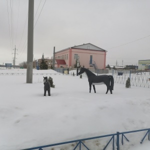 Фото от владельца Ветеринарная станция Ишимбайского района и г. Салавата Республики Башкортостан