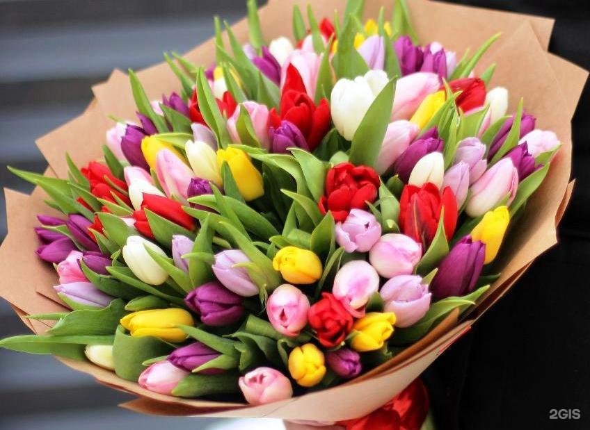 Букет 101 тюльпан. 51 тюльпан в сумке флорист. Тюльпаны с доставкой екатеринбург. 101 пионовидный фиолетовый тюльпан. 19 тюльпанов букет.