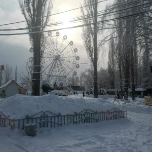 Фото от владельца Парк культуры и отдыха им. Ю.А. Гагарина