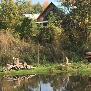 Фото от владельца Ковчег, гостевой дом