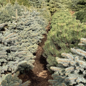 Фото от владельца Братья Green, группа компаний