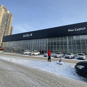 Фото от владельца Kia Motors, автотехцентр