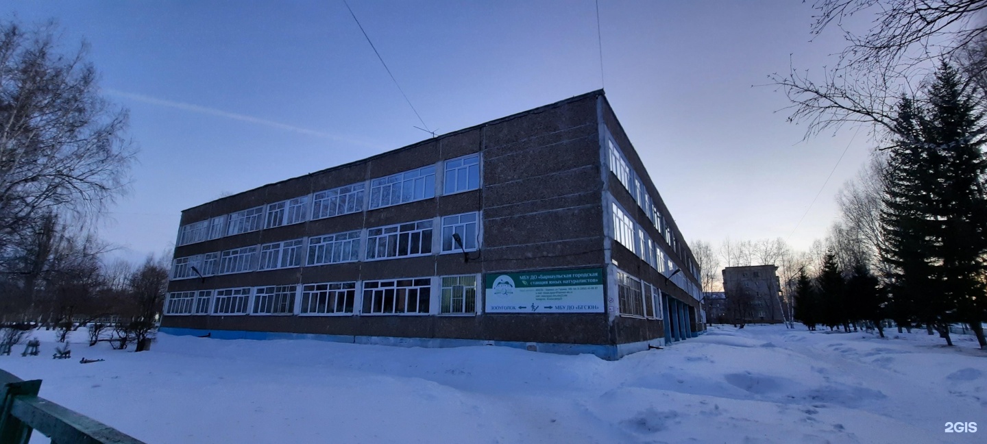 Школа 106 барнаул. Барнаульская городская станция юных натуралистов. Школа 106 Барнаул фото. Станция юных натуралистов Сургут.