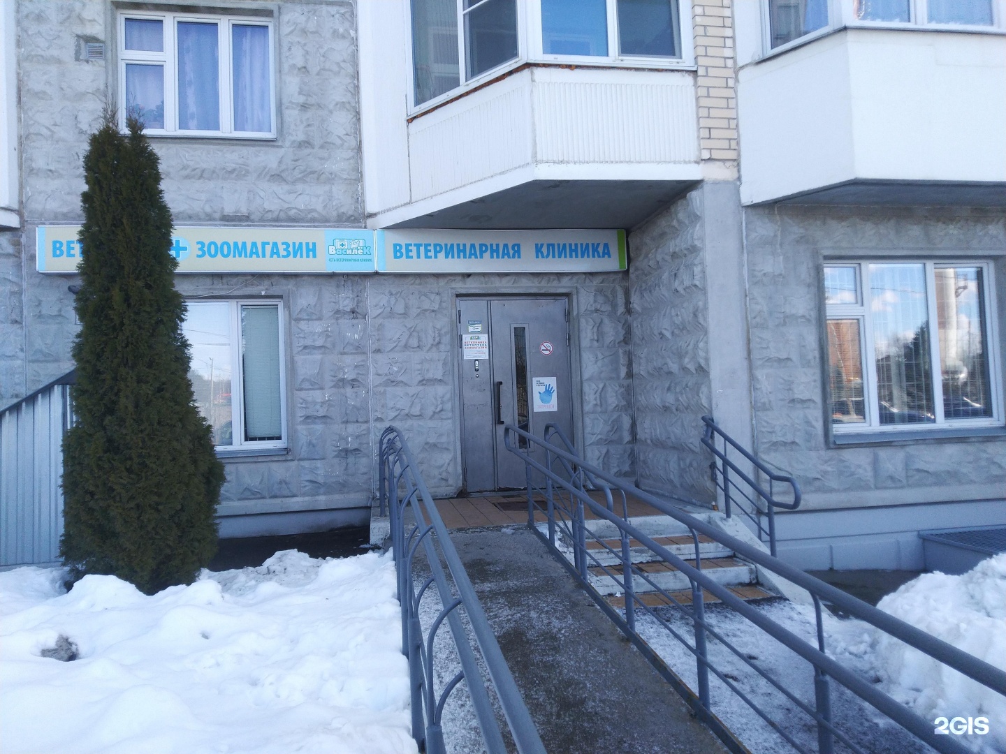 Василек в солнцево. Авиаконструктора петлякова 5. Василек в солнцево. Ветклиника василёк солнцево. Василек в солнцево.