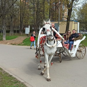 Фото от владельца Городской парк культуры и отдыха им. Виктора Талалихина