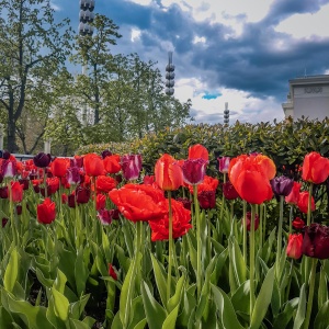 Фото от владельца ВДНХ, ОАО