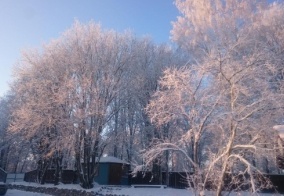Турбаза Зимняя Сказка в Ленинградской области