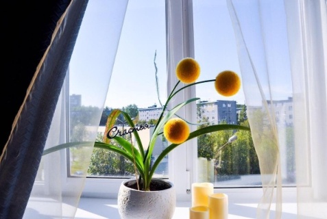 Полярные Зори: Отель Брусника