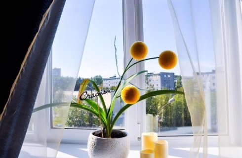 Полярные Зори: Отель Брусника