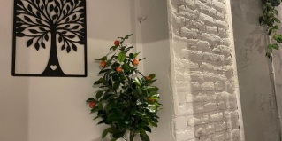 Москва: Отель Shelterz