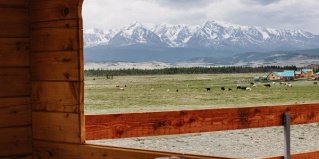 Кош-Агачский район: Турбаза Altay Life этно