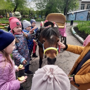 Фото от владельца Белая лошадь, конноспортивный клуб