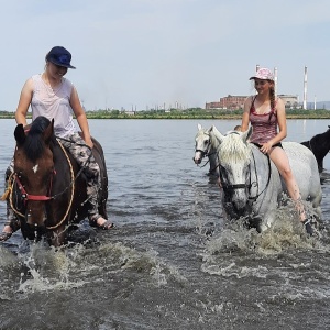 Фото от владельца Белая лошадь, конноспортивный клуб