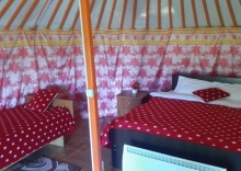 пос. Буровщина: Турбаза Yurt camping