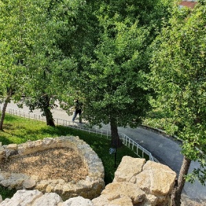 Фото от владельца Сад культуры и отдыха им. Н.Э. Баумана