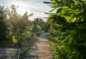 Отель Grand Wellness Hotel в Московской области