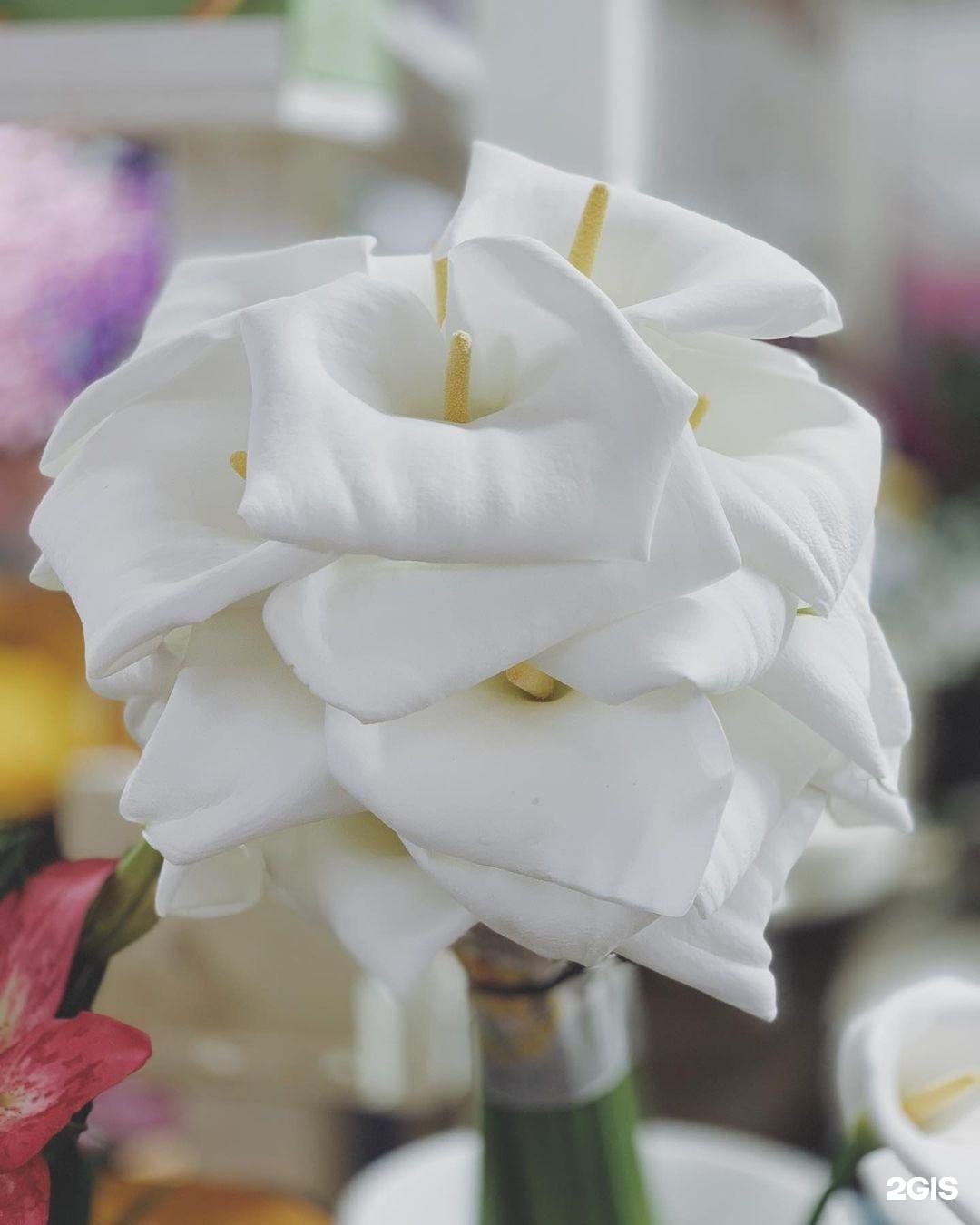 цветочный рынок астрахань