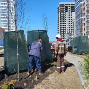 Фото от владельца Чистые Пруды, микрорайон