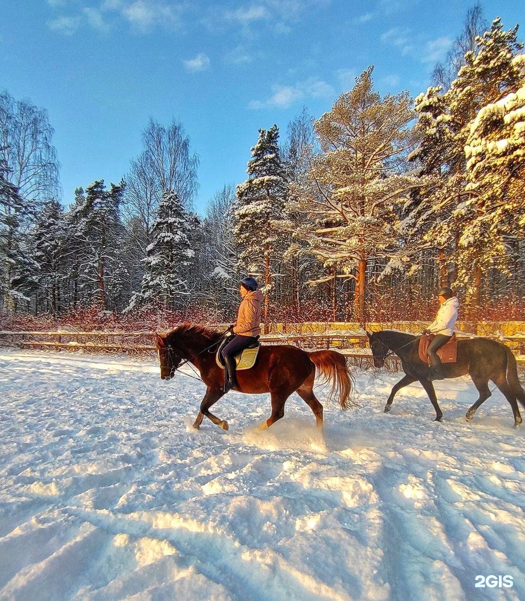 конный клуб мустанг усть илимск