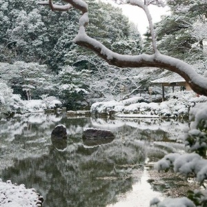 Фото от владельца Imperial Garden, садовый центр