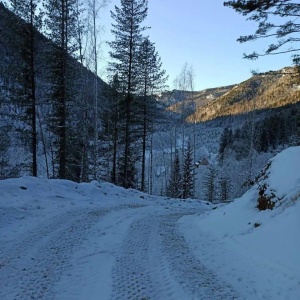 Фото от владельца Терра, ООО, компания