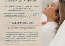 Лазаревское пос.: Санаторий Одиссея Wellness Resort