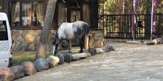 Терскол: Отель Ozon seven peaks