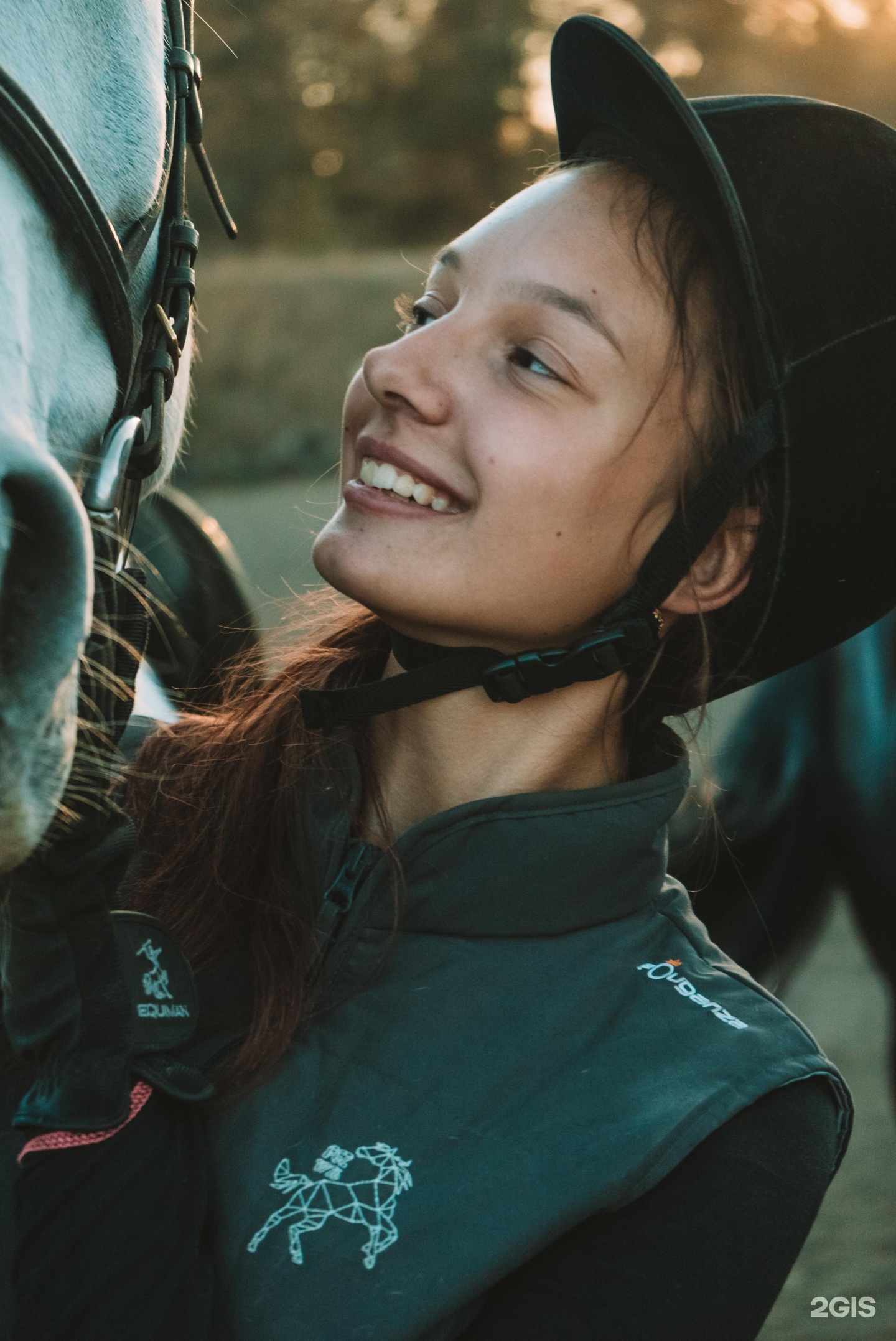 Horse travel. Horse travel. Хорс тревел ростов на дону. Travelling by horses. Horse travel.
