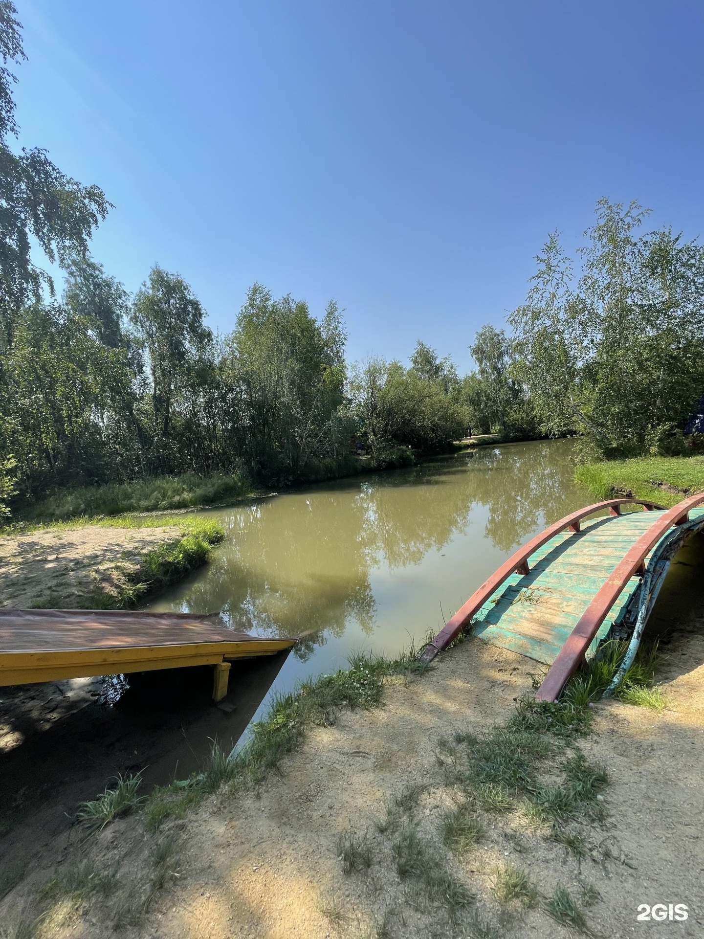 Березовая роща