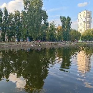 Фото от владельца Лианозовский, парк культуры и отдыха