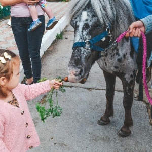 Фото от владельца Дарёна, частный детский сад