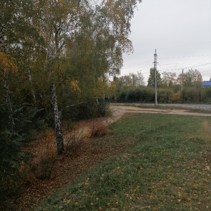 Фото от владельца Экологический парк, МБУ