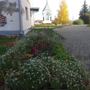 Фото от владельца Покровский собор